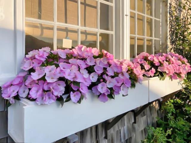 Elegant Retreat On Village Way 3br Nantucket